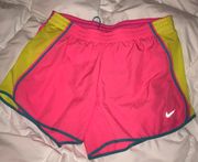 Nike Dry Fit Shorts