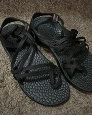 Black Chaco