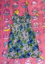 Wild Fable Floral Dress