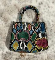 Multi Colored Purse 