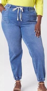 Lane Bryant Boyfriend Jogger Jeans