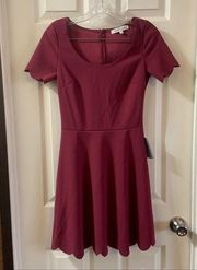 The Vanity Room Maroon Scalloped Edge Aline Dress