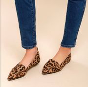 Emmy Leopard Animal Print Pointed Toe Flats New In Box Brown