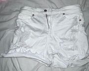 Francesca’s White Shorts