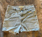 Bullhead denim Shorts