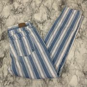 American Eagle Amercian Eagle Mom Jean Pinstriped Denim Blue White Jeans size 4