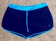 Danskin Now Athletic Blue Shorts