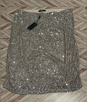 NWT Cable & Gauge Sequin Silver Size Large Skirt