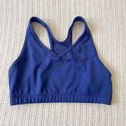 Nike  Dri Fit Blue Mesh Sports Bra Size Large