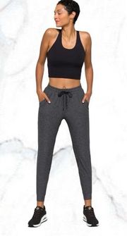 NWT Stitch Fix WE WANDER WeFlex Brookes Active Jogger