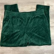 NWOT  Green Velvet Elastic Waist Pull On Joggers Side Pockets Size XXL