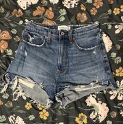 Abercrombie & Fitch Curve Love Shorts