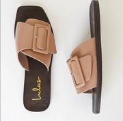 NWB   Earleena Camel Buckled Slide Sandals