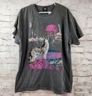 BDG Urban Outfitters Joshua Tree T-Shirt Relaxed Oversized Short Sleeve S/M NWT