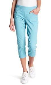 Jag Jeans Felicia‎ Classic Fit Pull On Ankle Pants Womens Plus Size 14 Teal