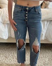 Wild Fable High Rise Straight Ankle Jeans