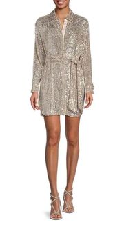 Sequin Dress