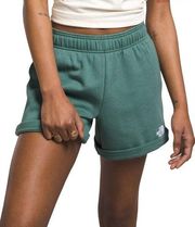 The North Face Sage Green Women's Evolution Shorts / Size XS