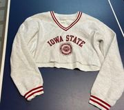 Iowa State Champion Cropped Crew Neck Size Small