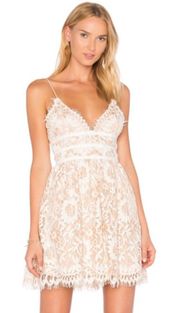 Lace Dress