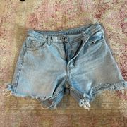 Brandy Melville Shorts