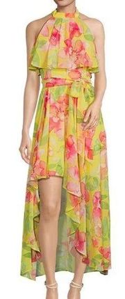 NWOT Eliza J Floral Halter Neck Popover High/Low
Sleeveless Dress Size 12