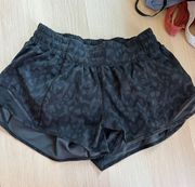 Hotty Hot Shorts 2.5 Length