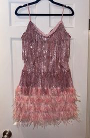 Pink Sequin Dresss