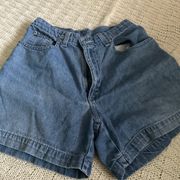 Vintage Shorts 