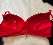 Red Lace Bra