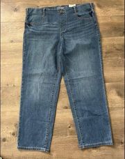 Time & Tru Mid Rise Straight Leg Jeans Size XL (16-18) Petite New