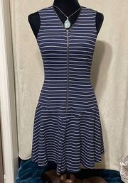 Blue and White Stripped Dress