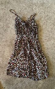 Cheetah Print Dress 