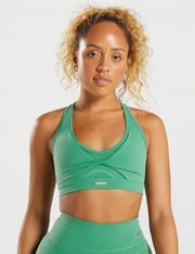 Whitney Simmons Mesh Sports Bra