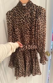 Cheetah Print Dress