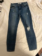 Hidden Skinny Jeans, Size 26