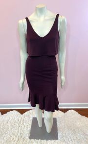 Plum Fit N Flare Dress with Ruffle Detailing