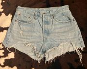 501 Shorts