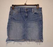 Vineyard Vines Size 12 Denim Mini Skirt