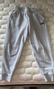 Fleece Lined Joggers