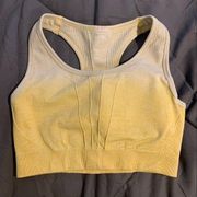 AYBL Longline Sports Bra