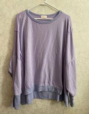 Hailey & Co women's large long sleeve oversized purple top