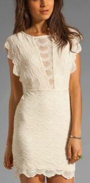 nightcap caletto victorian beige lace body on mini dress