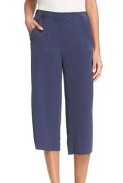 NWT Joie Silk Genesa Blue Cropped Pants 4