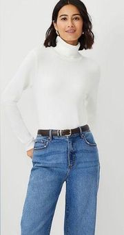 Ann Taylor Modern Turtleneck Sweater Size Medium NWT