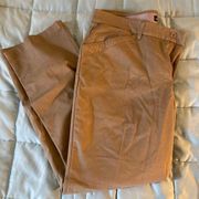 Womens Khaki pants by  size 14