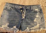 Vervet Distressed Denim Shorts