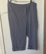 Investments cropped slacks 18