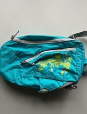 Eddie Bauer Nylon Teal Sling Backpack