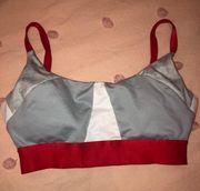 Metallic Sports Bra